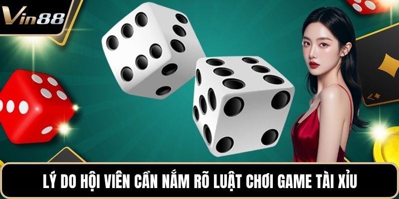 Cách Chơi Tài Xỉu Thắng Lớn Dành Cho Người Mới Bắt Đầu 2026 - xivozu.org